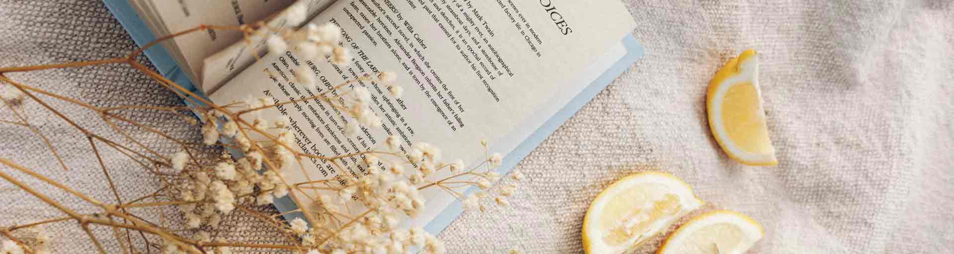 楊浩康 Aesthetic Science Blog